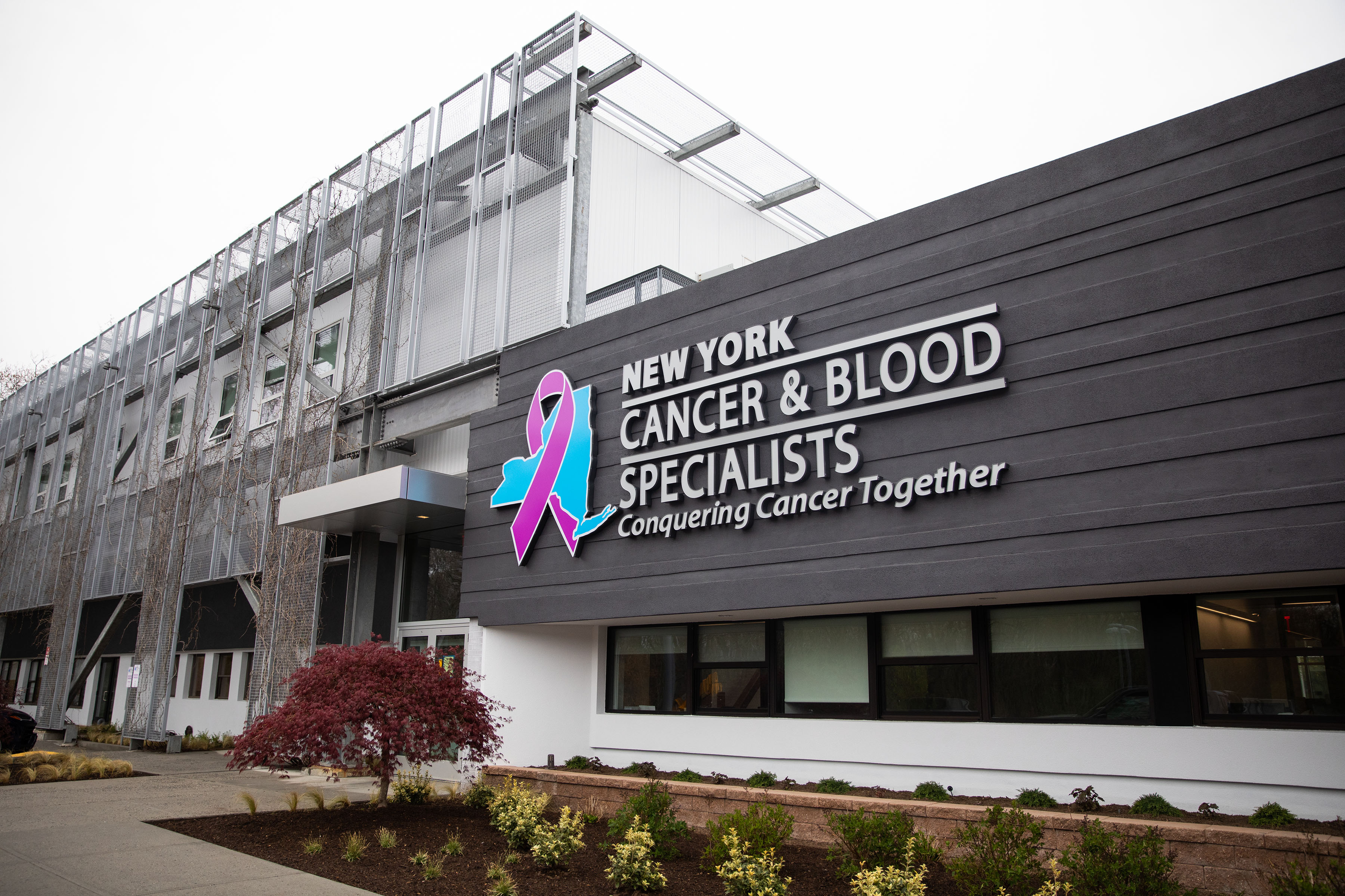 new york cancer research